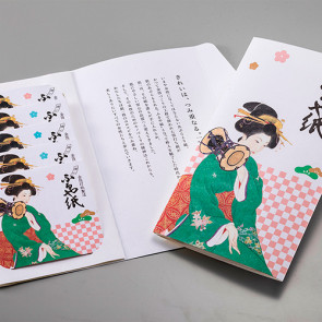 New Beautiful Girl Picture - set of 5 booklets  【Free Shipping】